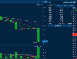信威集团的困境 